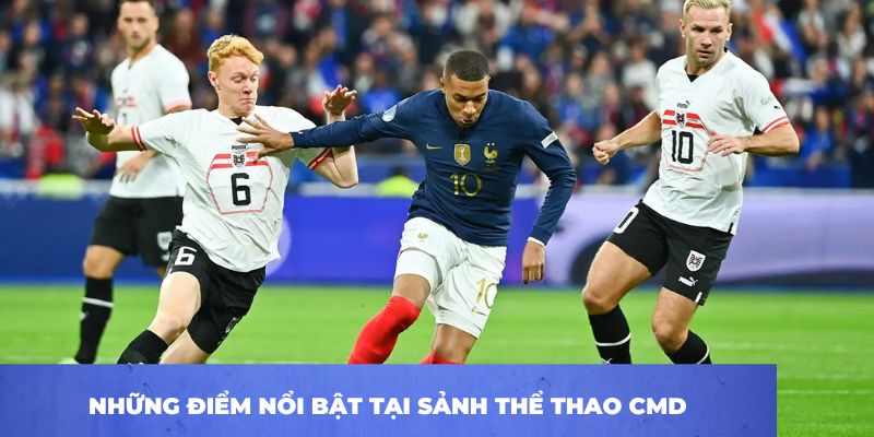 Những điểm nổi bật tại sảnh thể thao CMD